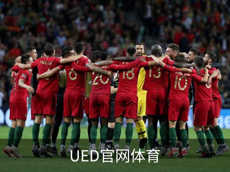 UED官网体育概况
